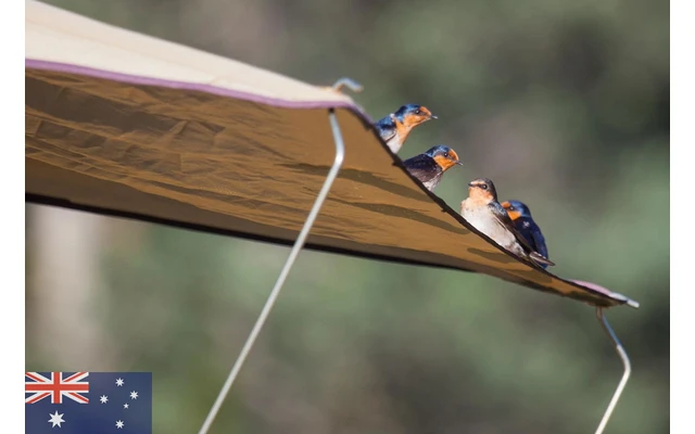 Gordigear Dachzelt 165 Plus Für 3 Personen Mit Vorzelt 165 X 320 Cm Grün 9 Gordigear Dachzelt 165 Plus Für 3 Personen Mit Vorzelt 165 X 320 Cm Grün – Bild 7